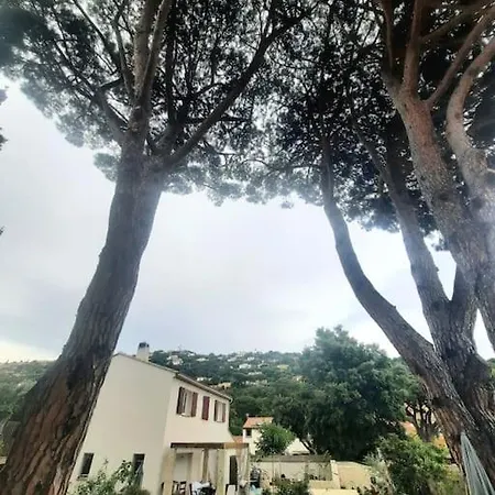 Bastide Provencale Familiale 12 Mn A Pieds