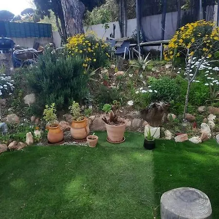 Вилла Bastide Provencale Familiale 12 Mn A Pieds